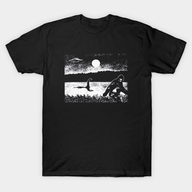 ufo is telling the truth T-Shirt by BerrymanShop